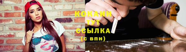 соль ск Осинники