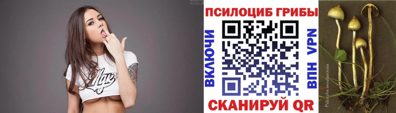 hydra зеркало Нахабино Галлюциногенные грибы GOLDEN TEACHER