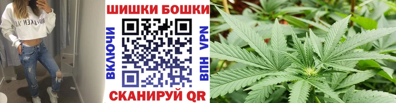Шишки марихуана марихуана  сколько стоит  Нахабино 